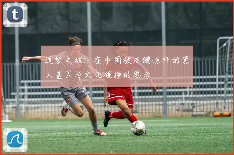 追梦之旅：在中国被活鹅惊吓的黑人基因与文化碰撞的思考